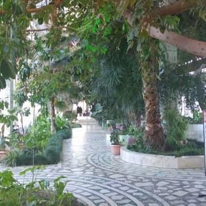 Meet your Posher, Katrina